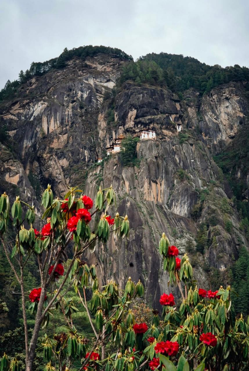 Bhutan Luxury Escape