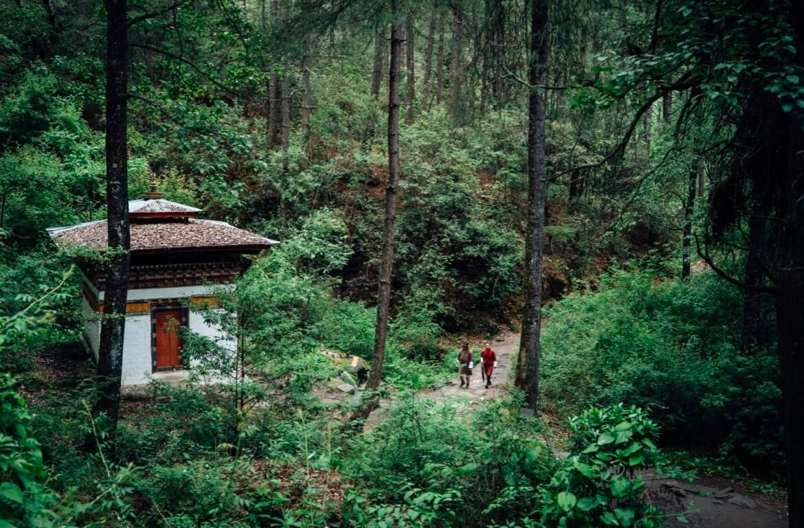 Ancient Forest Trail to the Monastery